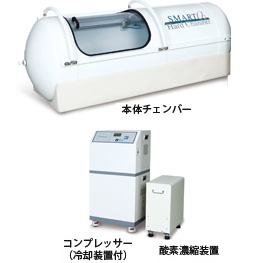 本体(ハードタイプ)